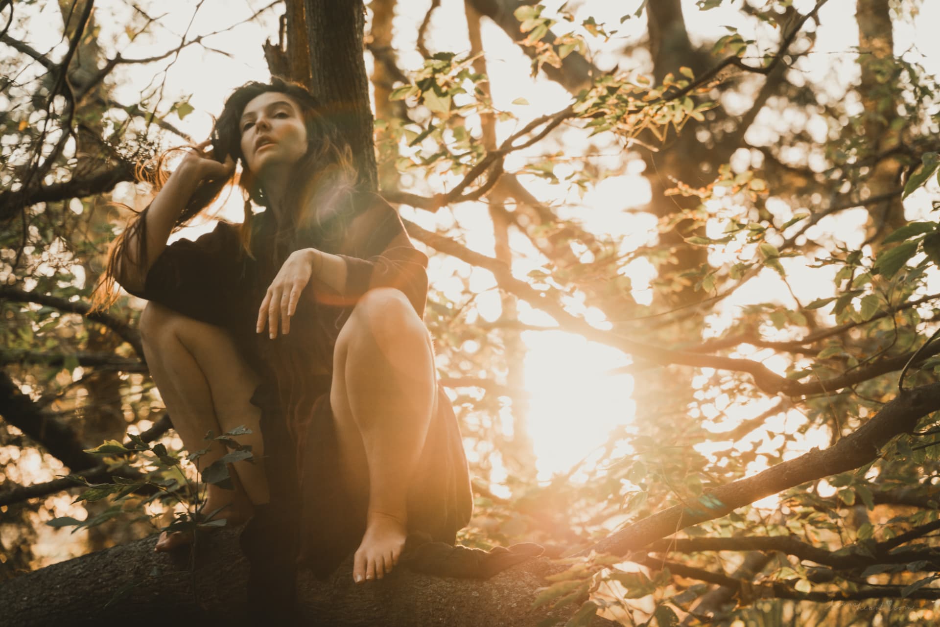 Manon Lelièvre assise dans un arbre, à contre-jour dans la forêt